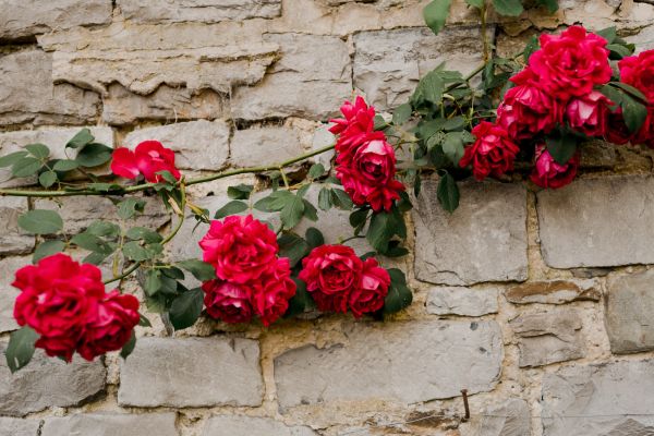 06Shooting inspiration mariage-29052020191815